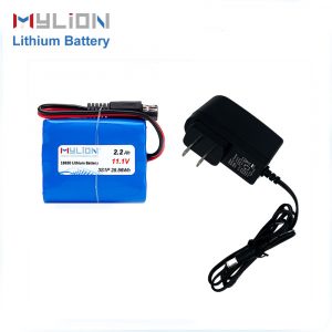 1pc Chager+1pc11.1v 2.2ah Lithium Battery For Sprayer And Pump Free Shipping to America Canada